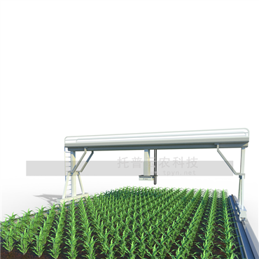 田間軌道式高通量植物表型分析平臺